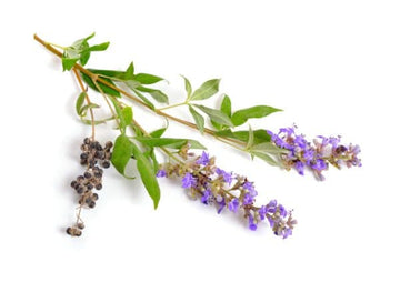AnimalEO Vitex