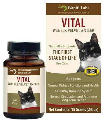 Wapiti Elk Velvet Cat