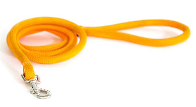 Yellow Dog Design - Round Braided 5' Leash