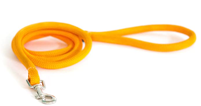 Yellow Dog Design - Round Braided 5' Leash