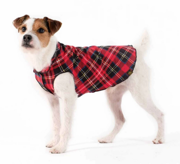 Gold Paw Double Fleece