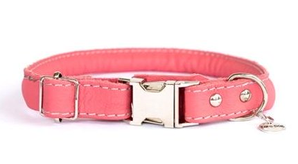 Euro Dog Collar - Rolled Leather, Quick Release