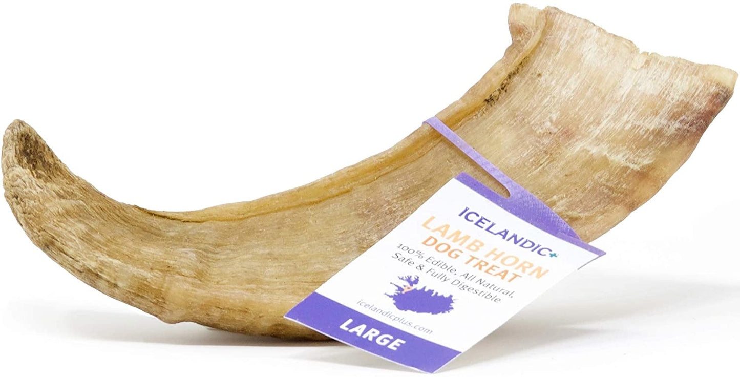 Icelandic Lamb Horn with Marrow Small