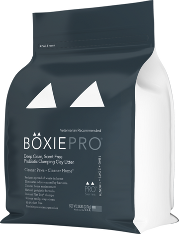 BoxieCat Litter - 0