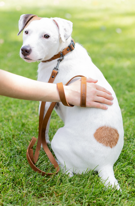 Euro Dog Leash - Soft Leather