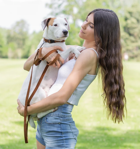 Euro Dog Leash - Soft Leather