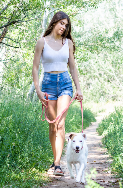 Euro Dog Leash - Soft Leather