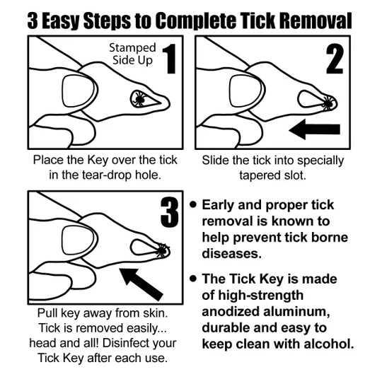 Tick Patrol Tick Key - Assorted Colors