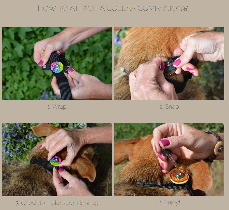 Daisy Paw - Essential Oil Collar Companions
