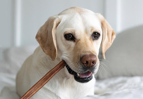 Tuesday's Real Meat Chews