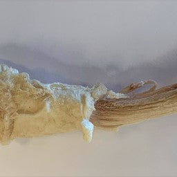 Sadie's Chews Bison Super Chew 6in