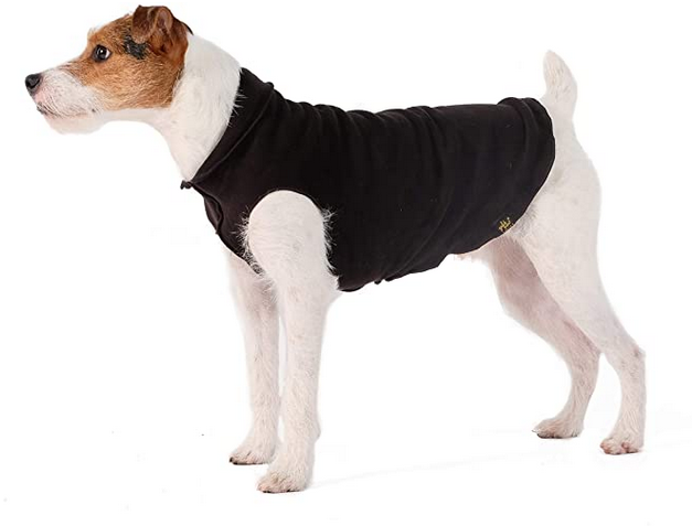 Gold Paw Double Fleece