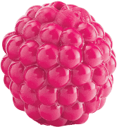 Planet Dog Ball Collection