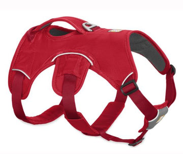 No Pull / Front Clip Harnesses