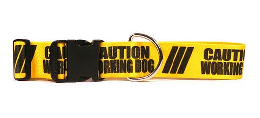 Yellow Dog - Caution Series