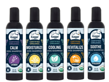 Shampoos, Conditioners & Bars