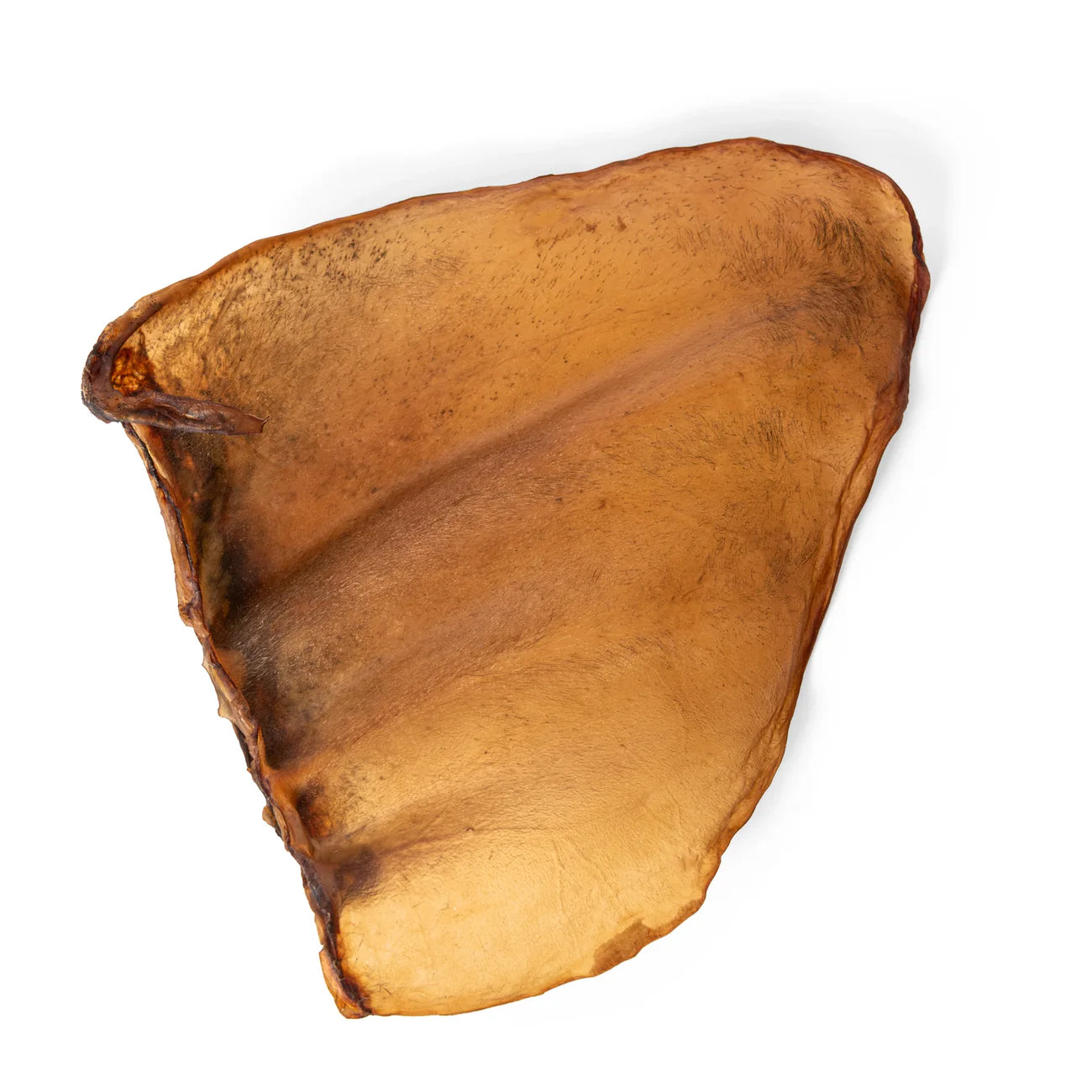Mika and Sammy's Cow Ear Single