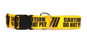 Yellow Dog - Caution Series - 0