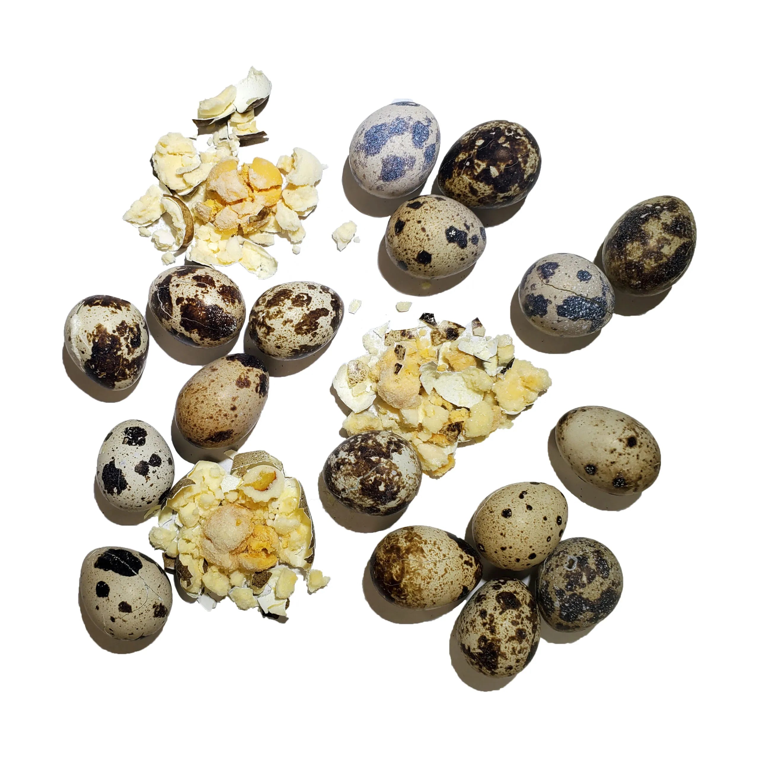 Savage Cat FD Quail Eggs 2.75oz - 0