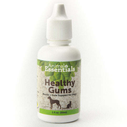 Animal Essentials Healthy Gums 1oz