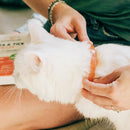 Wondercide Flea and Tick Collar-3