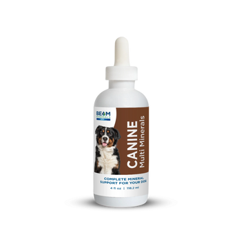 BEAM Electrolytes - 0