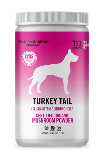 Mushroom Matrix Turkey Tail