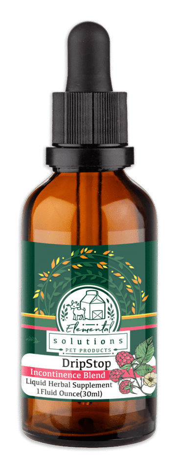 Solutions Drip Stop Tincture 1oz