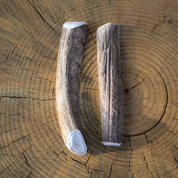 The Estes Paw Company Elk Antler