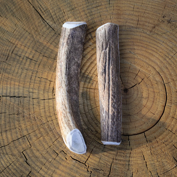The Estes Paw Company Elk Antler