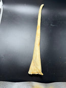 Willy's Wags Cow Tail 6"/12"-2