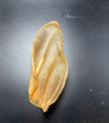 Mika and Sammy's Cow Ear Single