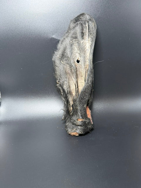 Willy's Wags Hairy Cow Ear