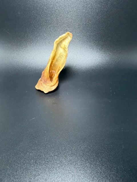 Willy Wags Lamb Ear Single