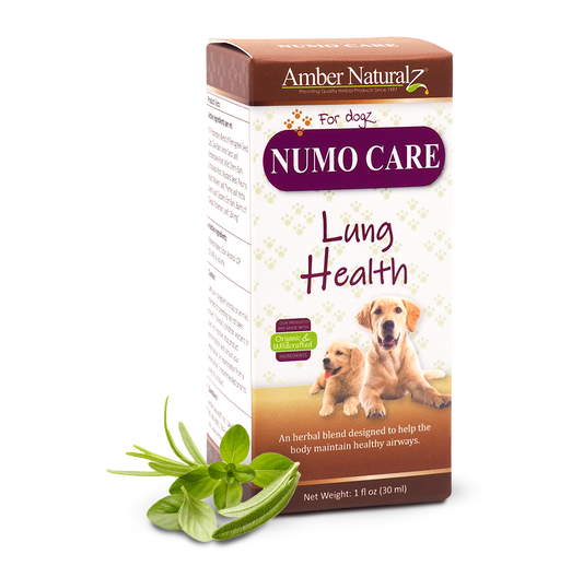 Amber Naturalz Numo Care Lung Health