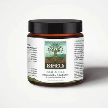 Adored Beast Soil and Sea 1.6oz