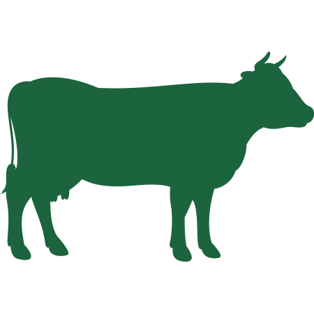 Solutions Raw Sliders