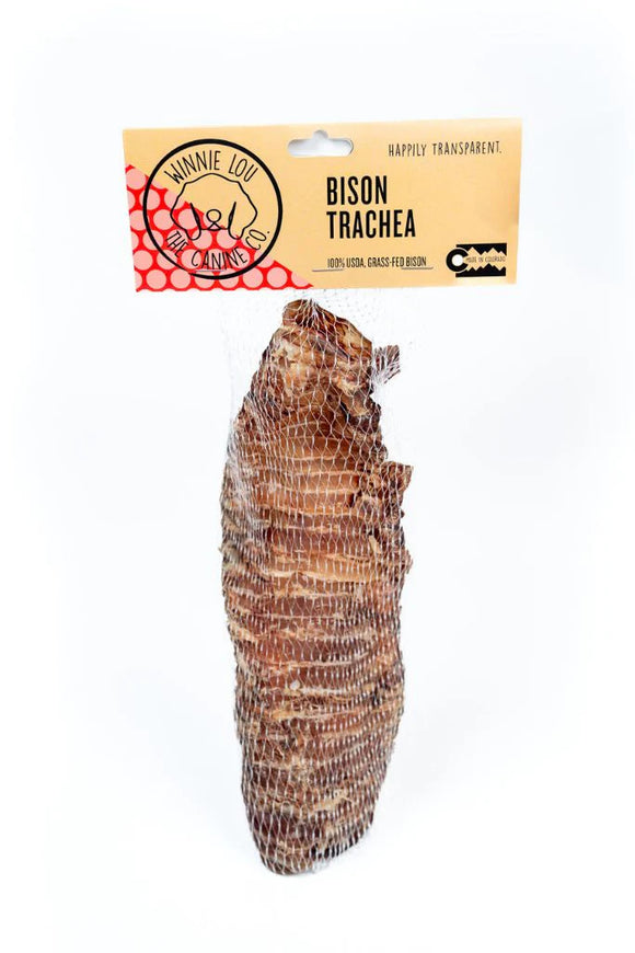Winnie Lou Bison Trachea Whole Single