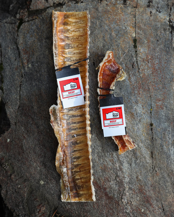The Estes Paw Company Trachea