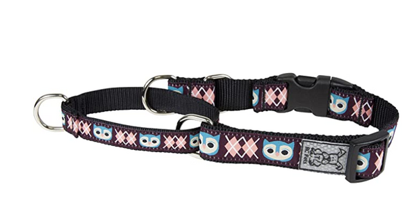RC Pets Martingale Collars Web