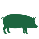 Solutions Raw Sliders