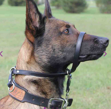 Hot Dogs All Dressed Slip'n'Go Face Halter - 0