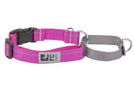 RC Pets Martingale Collars Web