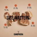 Canophera Briar Wood Chew-7