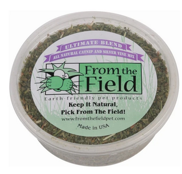 From the Field Catnip