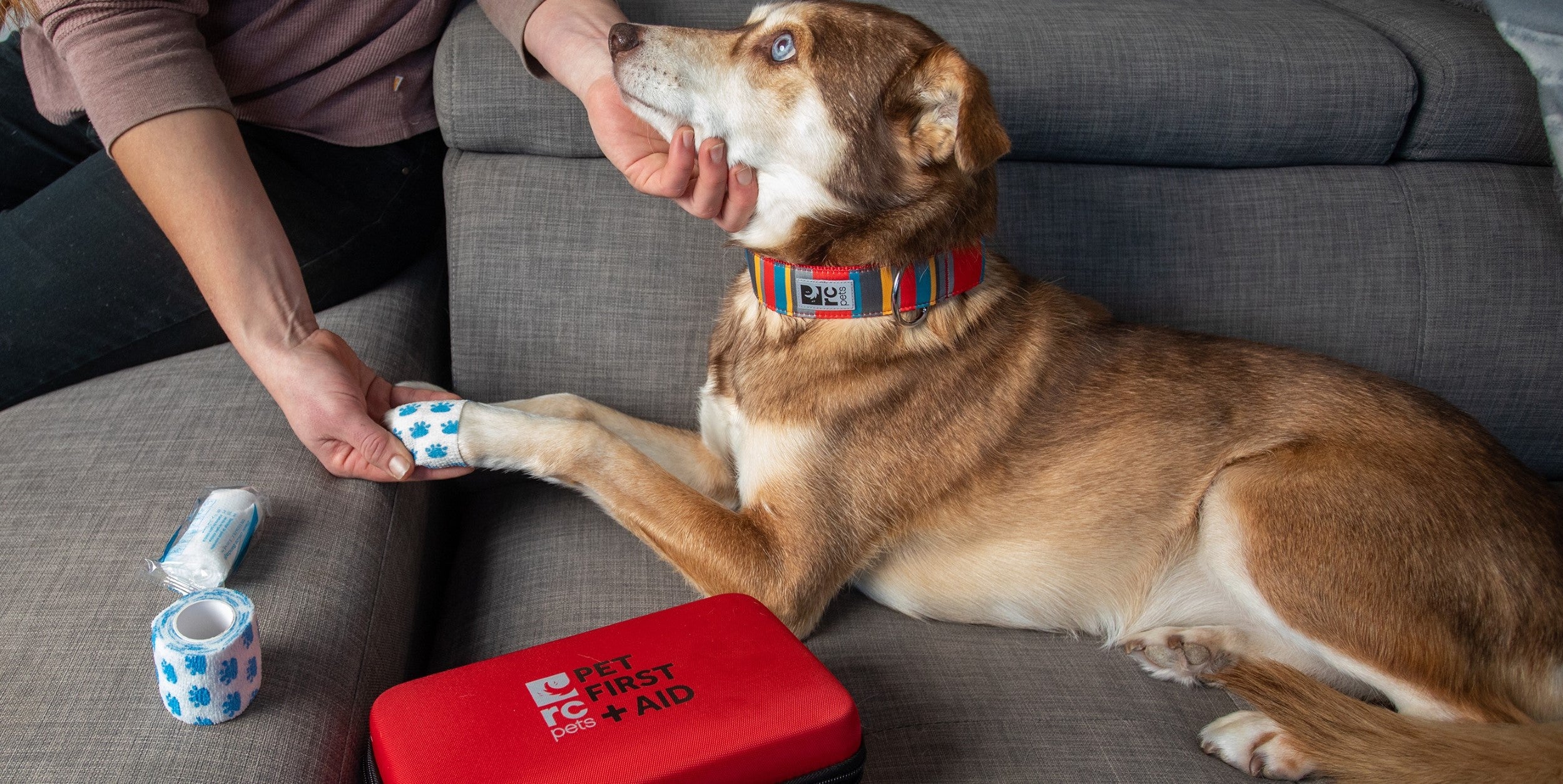 RC Pets First Aid Kit