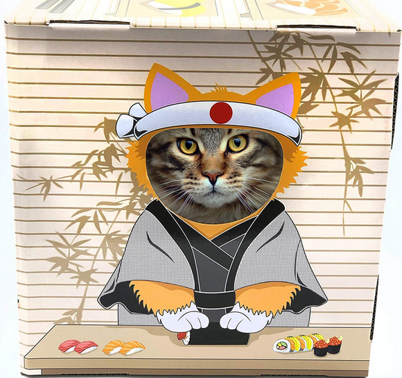 Doyen World Funbox Sushi