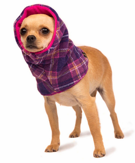 Gold Paw Snood