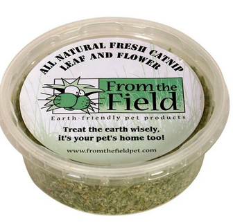 From the Field Catnip