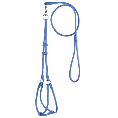 Dogline Step-In Harness/Leash Combo Leather